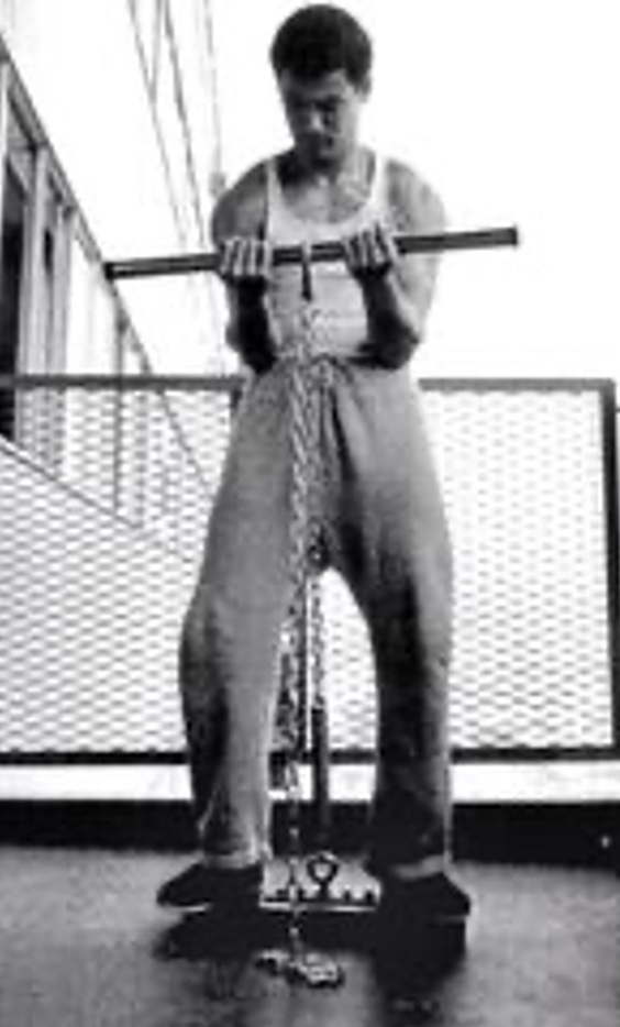 Bruce Lee Training with Isometrics Device