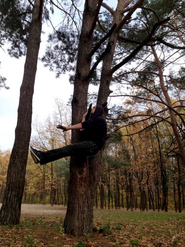 AlexZinchenkoOneArmTreePullup