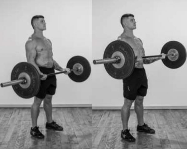 Barbell Biceps Curl