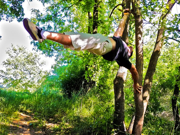 Daniel Cirilli Human Flag Tree