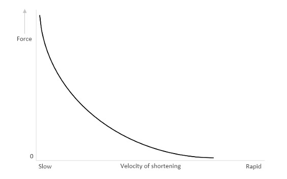 Force Velocity relationship Graph