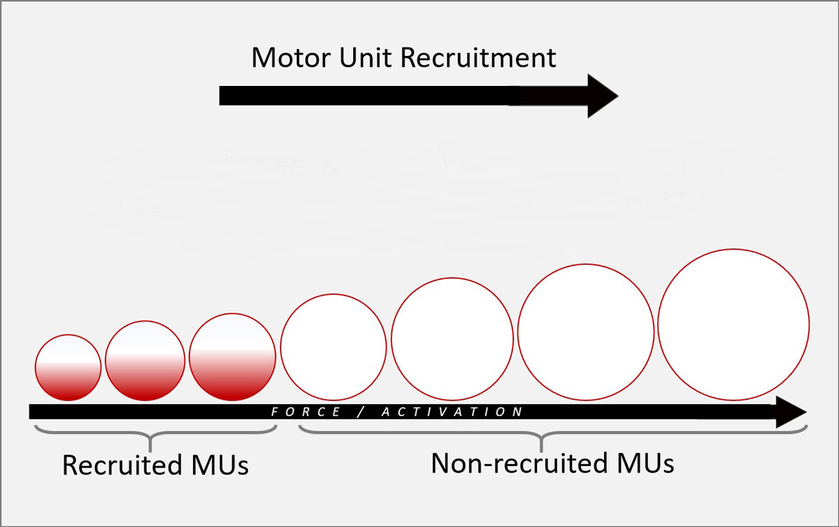Hennemans méret-elv diagram Motoros egység felvétele