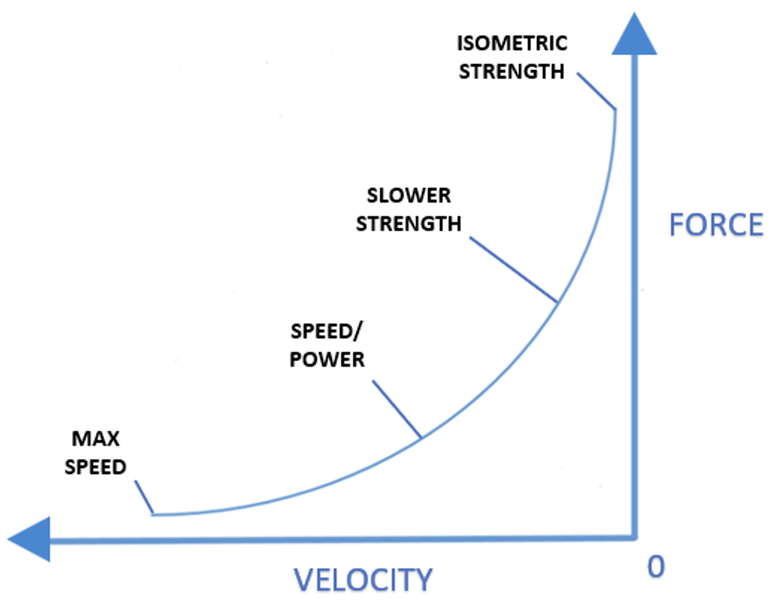 Isometrics Comparison Chart