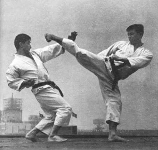 Karate kick 600px