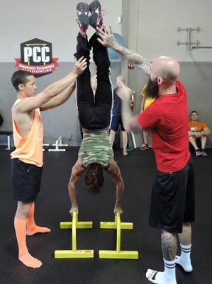 Katherine Marini Handstand Parallettes