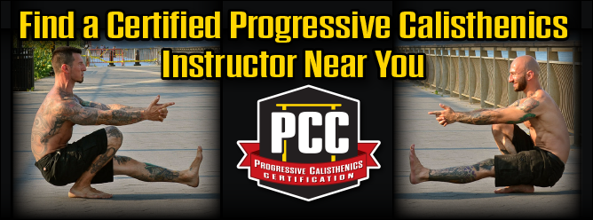 ProgressiveCCInstructorBanner 247x668