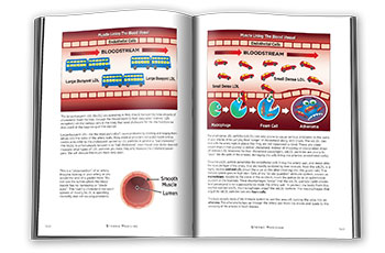 Strong Medicine Cholesterol