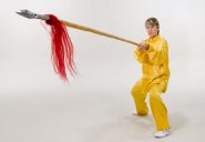 allisonhelm tai chi thumbnail