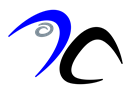 DanaStaysFit logomark