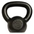 Dragon Door Kettlebell 8kg 18lb Back P10m