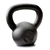 Dragon Door Russian Kettlebell 10kg 22lb Back P10t