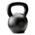 Dragon Door Russian Kettlebell 24kg 53lb Back P10b